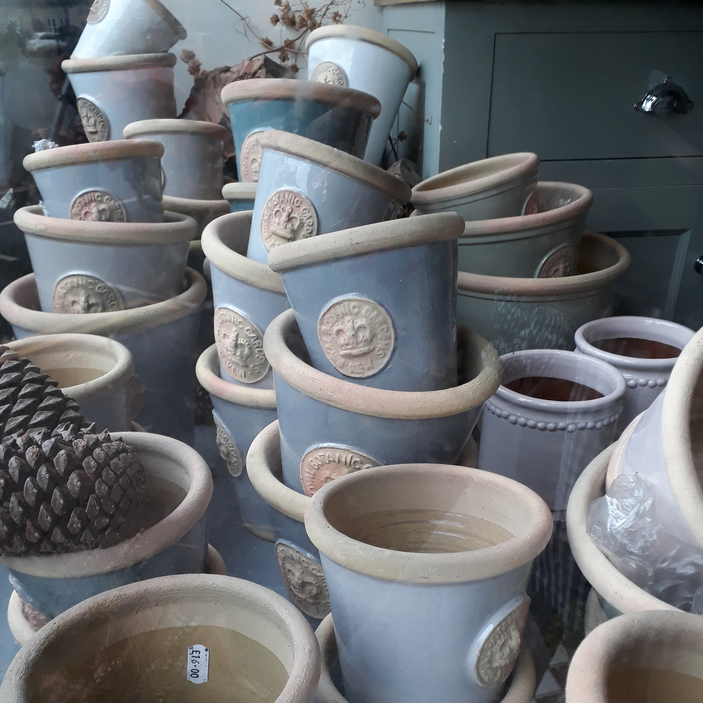 All the greens - Kew Botanical Pots