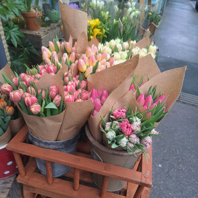 Tulips and Hyacinths by the bunch.