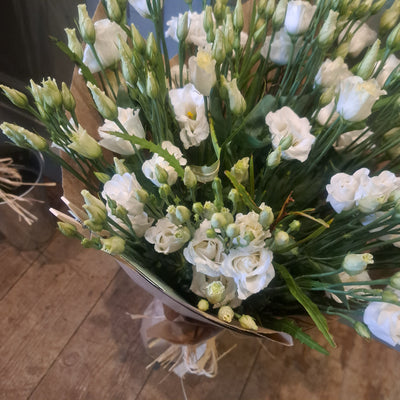 All one Flower - Lisianthus