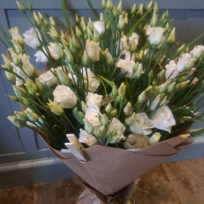 All one Flower - Lisianthus
