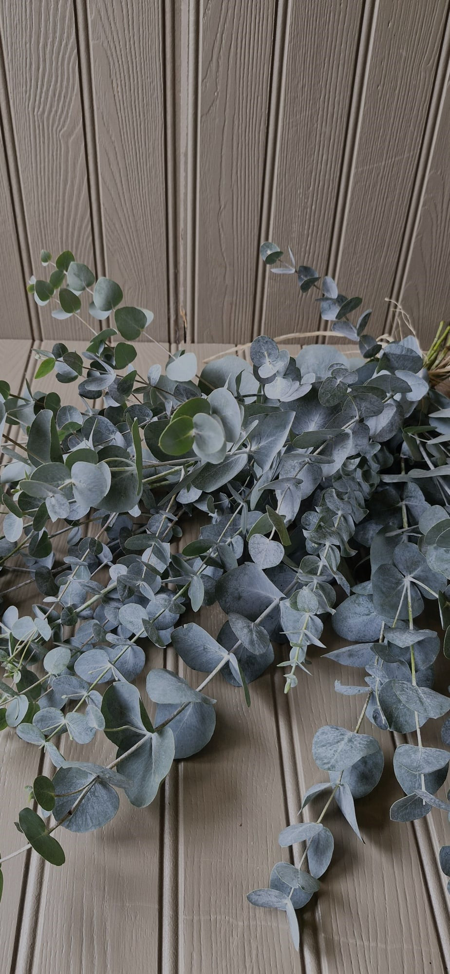 "The Eucalyptus Collection"