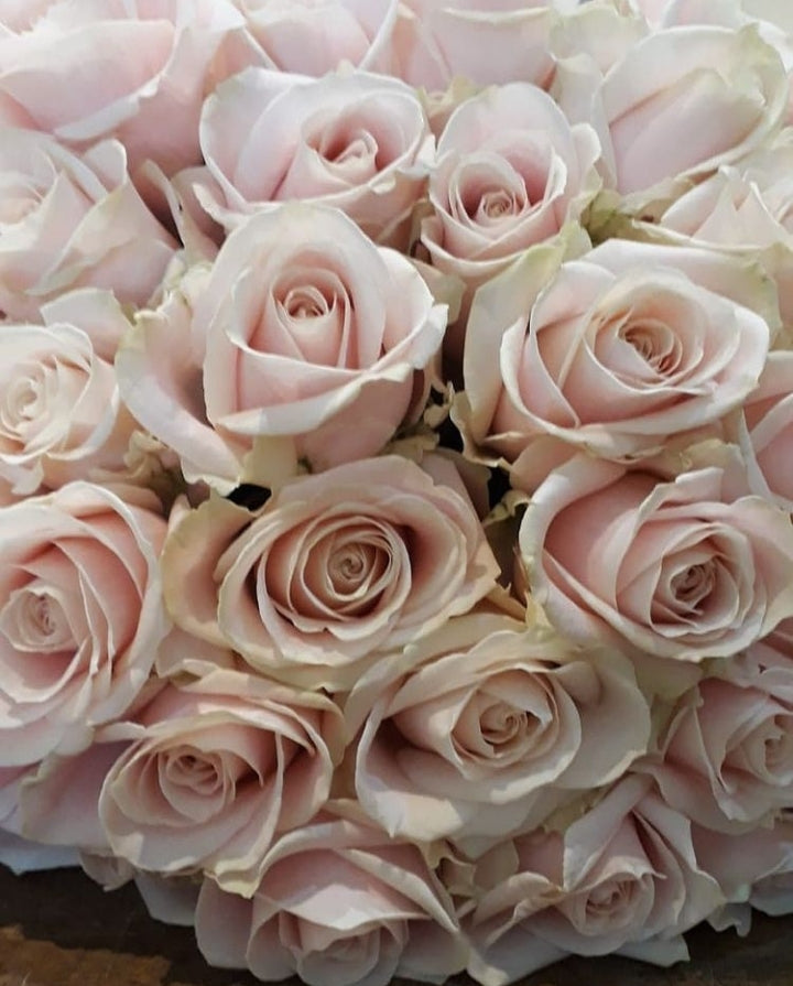 All Rose Bouquet